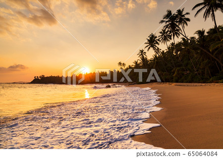 Romantic sunset on a tropical beach with palm trees 65064084