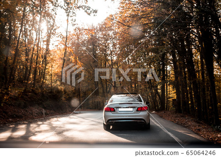 Silver business class car with red xenon lights in the forest road, view from behind 65064246