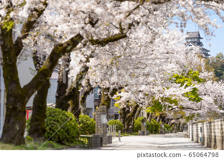 從犬山城和佐久木曾河的堤防路人行道上。 從犬山城和佐久木曾河的堤防路人行道上。 65064798