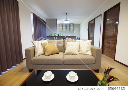 Living Room 65066385