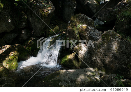 Waterfalls and Slopes. Myra Falls ,in the Muggendorf in Lower Austria Waterfalls and Slopes. Myra Falls ,in the Muggendorf in Lower Austria 65066949