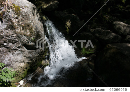 Waterfalls and Slopes. Myra Falls ,in the Muggendorf in Lower Austria Waterfalls and Slopes. Myra Falls ,in the Muggendorf in Lower Austria 65066956