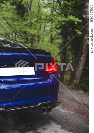 Blue sedan parked in the deep forest , back red lights and blank number board 65067003