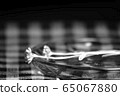 野花 65067880