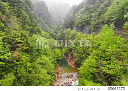 Kaole Valley smoking in the spring rain 65068275