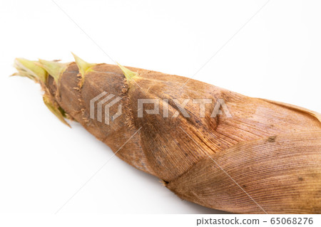 bambooshoot  65068276