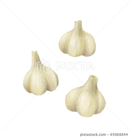 garlic  65068844
