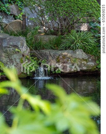 新鮮的綠色和池塘 新鮮的綠色和池塘 65069035