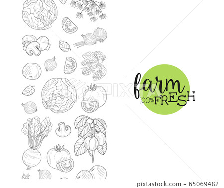 Fresh Farm Food Banner Template with Hand Drawn Vegetables and Plants Seamless Pattern Vector Illustration Fresh Farm Food Banner Template with Hand Drawn Vegetables and Plants Seamless Pattern Vector Illustration 65069482