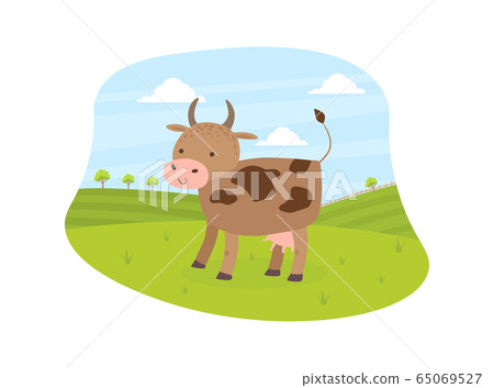 Cow Pasturing on Meadow, Summer Rural Landscape Vector Illustration 65069527
