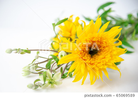 Van Gogh Sunflower and Clematis Summer Snow Van Gogh Sunflower and Clematis Summer Snow 65069589