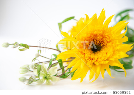 Van Gogh Sunflower and Clematis Summer Snow 65069591