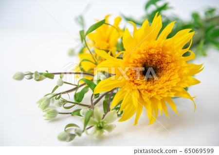 Van Gogh Sunflower and Clematis Summer Snow Van Gogh Sunflower and Clematis Summer Snow 65069599