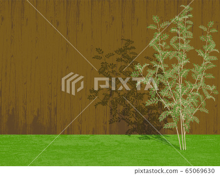 志摩Tonerico樹籬 志摩Tonerico樹籬 65069630