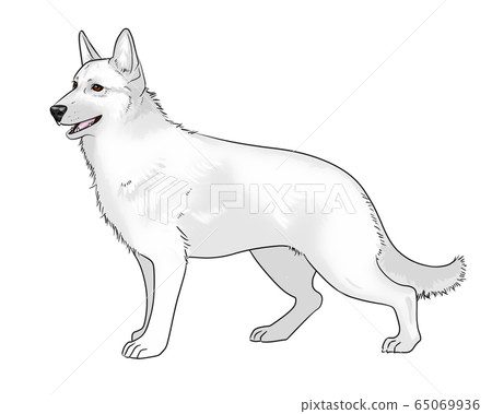 Shepherd Shepherd 65069936