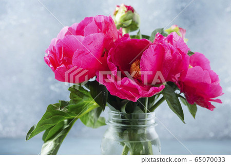Peony Madame Butterfly Peony Madame Butterfly 65070033