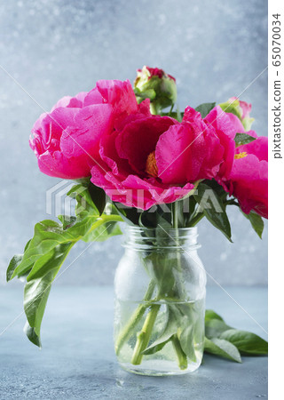 Peony Madame Butterfly Peony Madame Butterfly 65070034