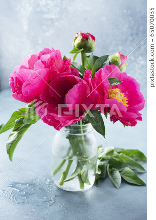 Peony Madame Butterfly Peony Madame Butterfly 65070035