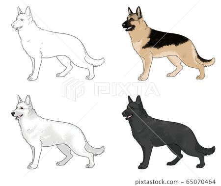 Shepherd Shepherd 65070464