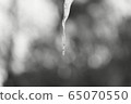 Winter 65070550