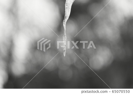 Winter Winter 65070550
