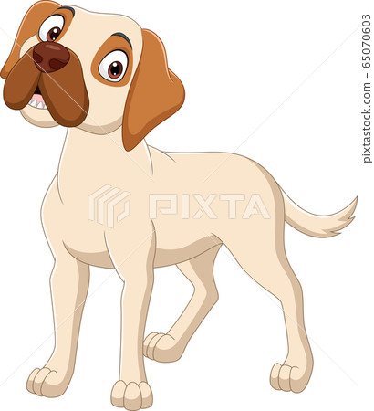Cartoon dog isolated on white background 65070603