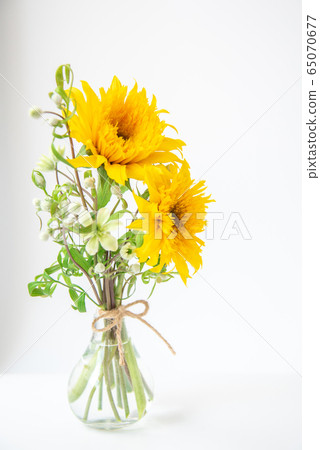 Van Gogh Sunflower and Clematis Summer Snow Van Gogh Sunflower and Clematis Summer Snow 65070677