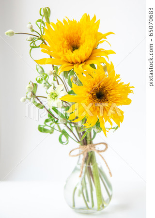 梵高向日葵和鐵線蓮夏天雪 65070683