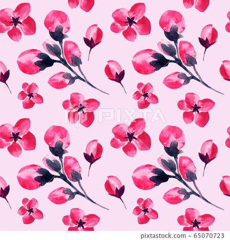 Sakura cherry blossom flowers watercolor pattern 65070723