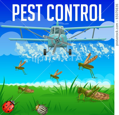 Locust, grasshopper, colorado beetle pest control Locust, grasshopper, colorado beetle pest control 65070836