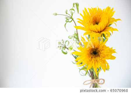 Van Gogh Sunflower and Clematis Summer Snow Van Gogh Sunflower and Clematis Summer Snow 65070968
