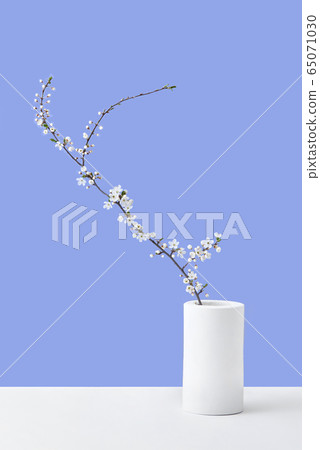 Greeting card from blooming cherry twig in a ceramic vase. Greeting card from blooming cherry twig in a ceramic vase. 65071030
