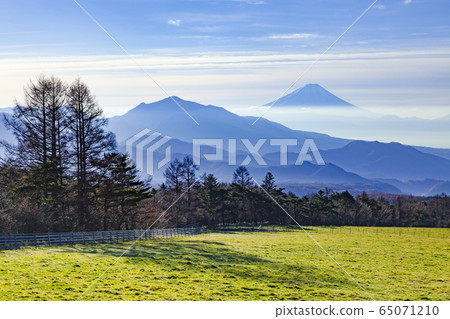 Mt. Fuji and Kanegatake seen at Makiba Park, Kiyosato, Hokuto City, Yamanashi Prefecture 65071210