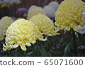 listen 65071600