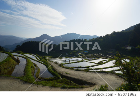Rice planting in the rice terraces. Japanese rural landscape. Rice planting in the rice terraces. Japanese rural landscape. 65071962