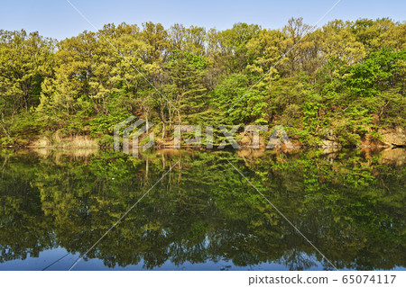 Reservoir 65074117