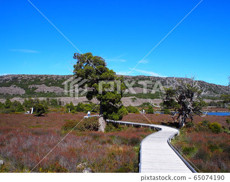 塔斯馬尼亞湖（Pine Lake） 65074190