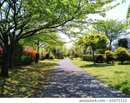 White area White area 65075123