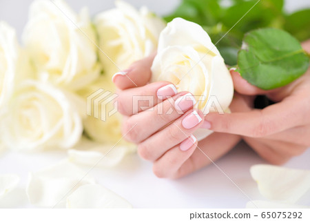 Hands of a woman with beautiful french manicure Hands of a woman with beautiful french manicure 65075292