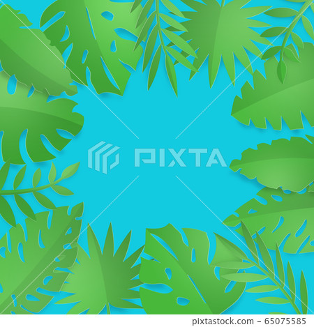 Tropical-plant-leaves-leaf-frame 65075585
