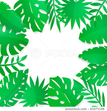 Tropical-plant-leaves-leaf-frame 65075586