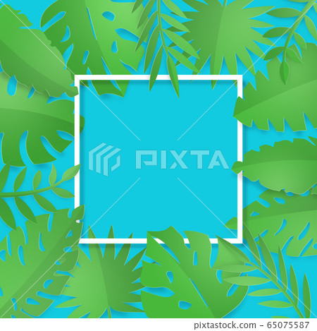Tropical-plant-leaves-leaf-frame 65075587
