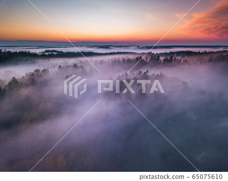 Fog and mist covering the forest in Lithuania Fog and mist covering the forest in Lithuania 65075610