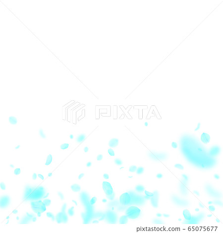 Turquoise flower petals falling down. Indelible ro Turquoise flower petals falling down. Indelible ro 65075677