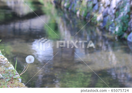 哲學的方式 65075724