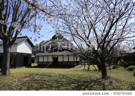 荒尾市宮崎兄弟之家櫻 荒尾市宮崎兄弟之家櫻 65076569