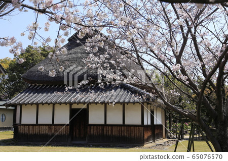 荒尾市宮崎兄弟之家櫻 荒尾市宮崎兄弟之家櫻 65076570