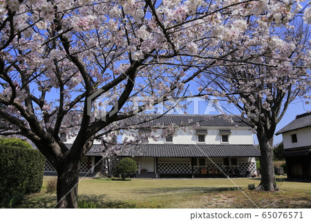 荒尾市宮崎兄弟之家櫻 荒尾市宮崎兄弟之家櫻 65076571