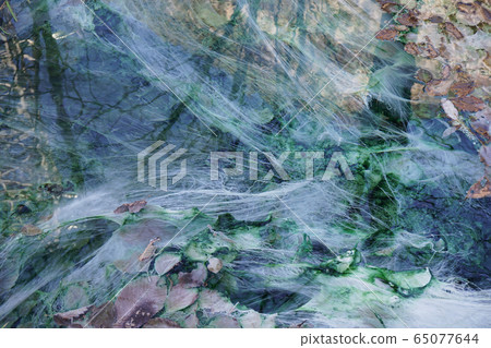 Flowing water sulphate and carbonate source with algae Flowing water sulphate and carbonate source with algae 65077644