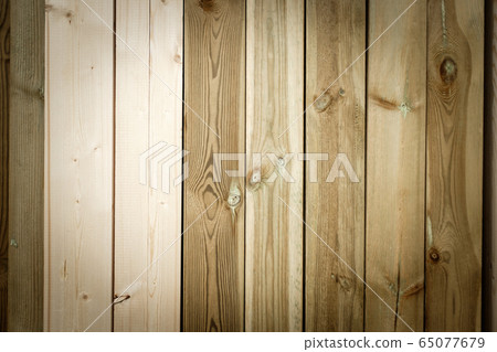 wall wall 65077679